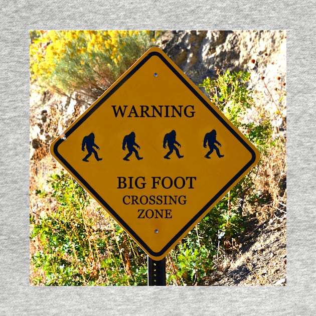 Big foot crossing zone sign by dltphoto